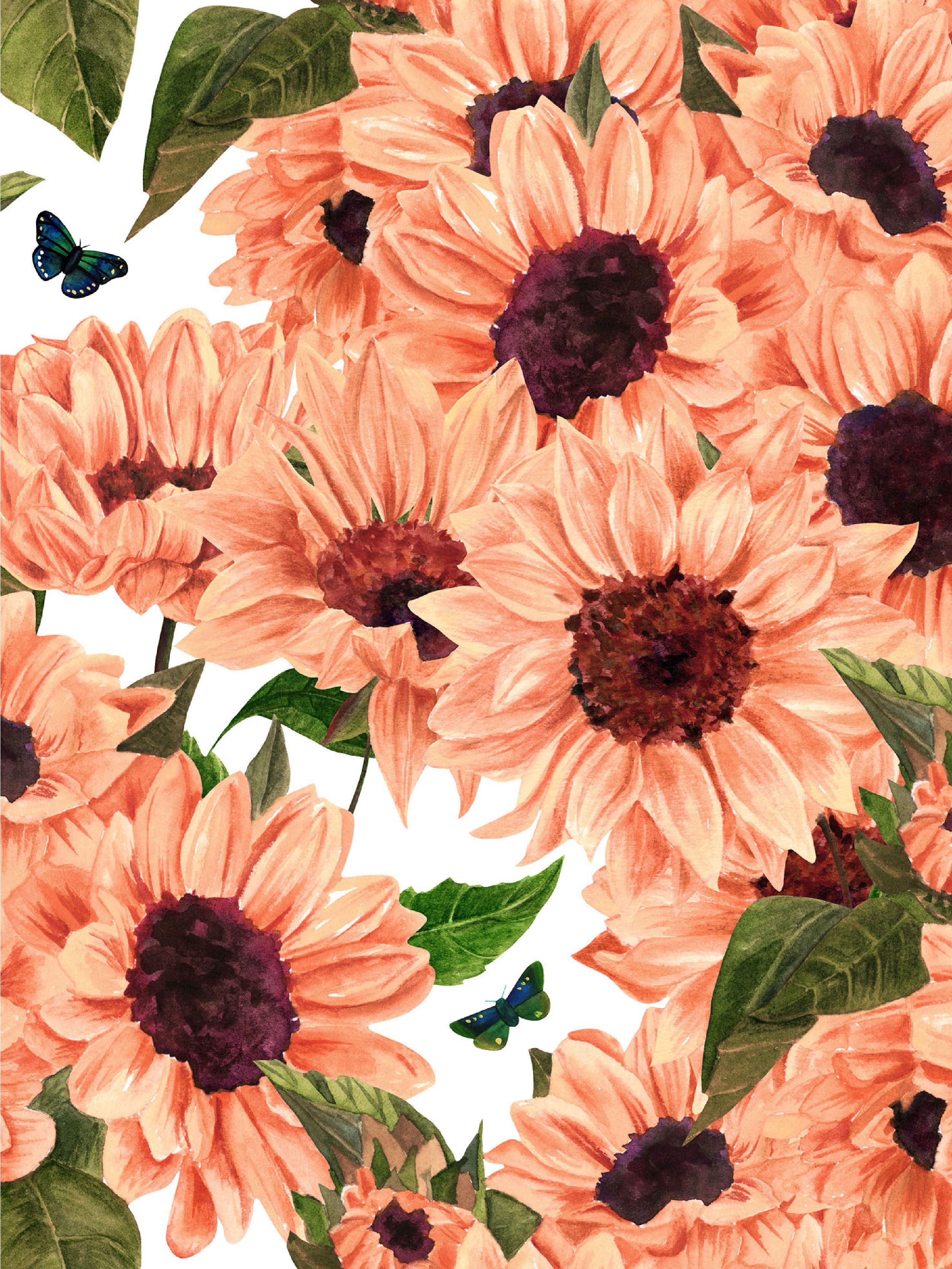 Cat Bunga Kkawler Kawler Warna Pink Merah Muda Squishy Salmon