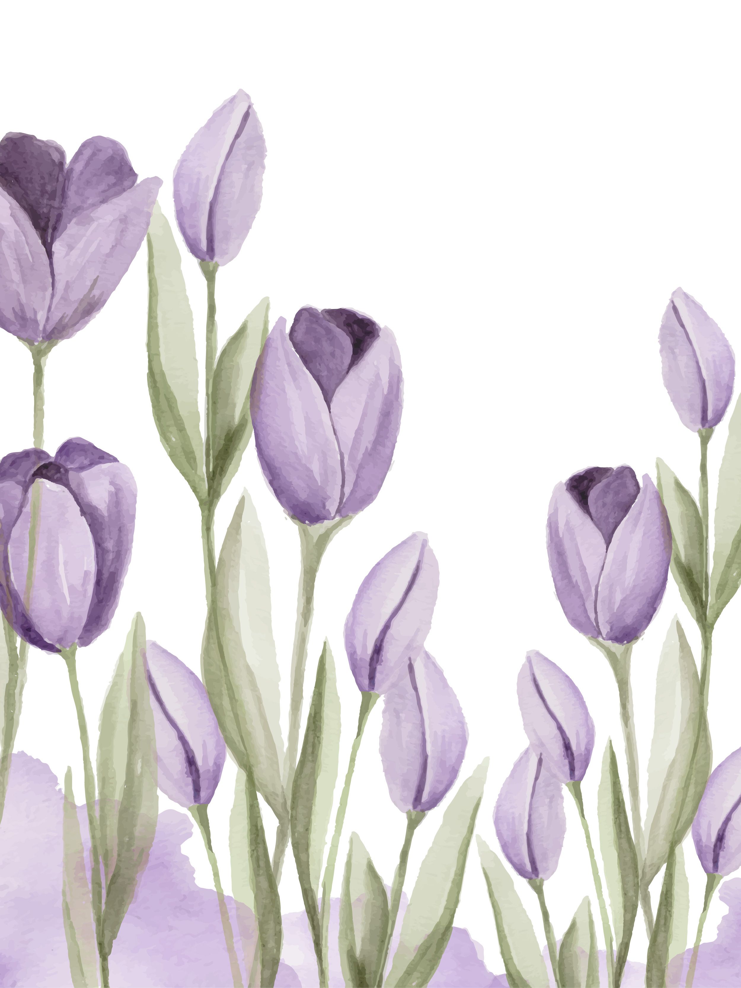 Cat Bunga Kkawler Kawler Warna Violet Ungu Muda Wonder Lavender