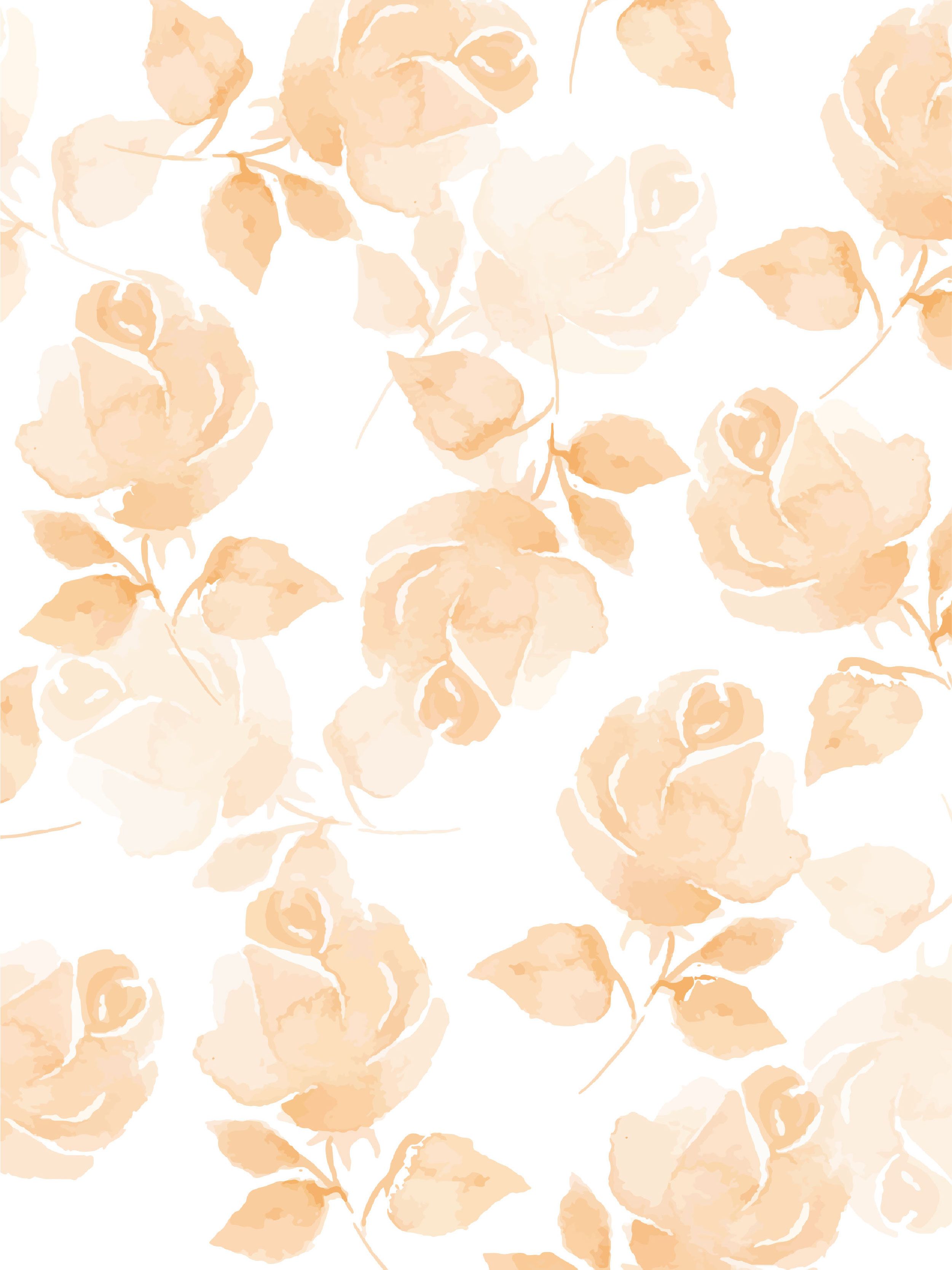 Cat Bunga Kkawler Kawler Warna Orange Jingga Muda Living Coral