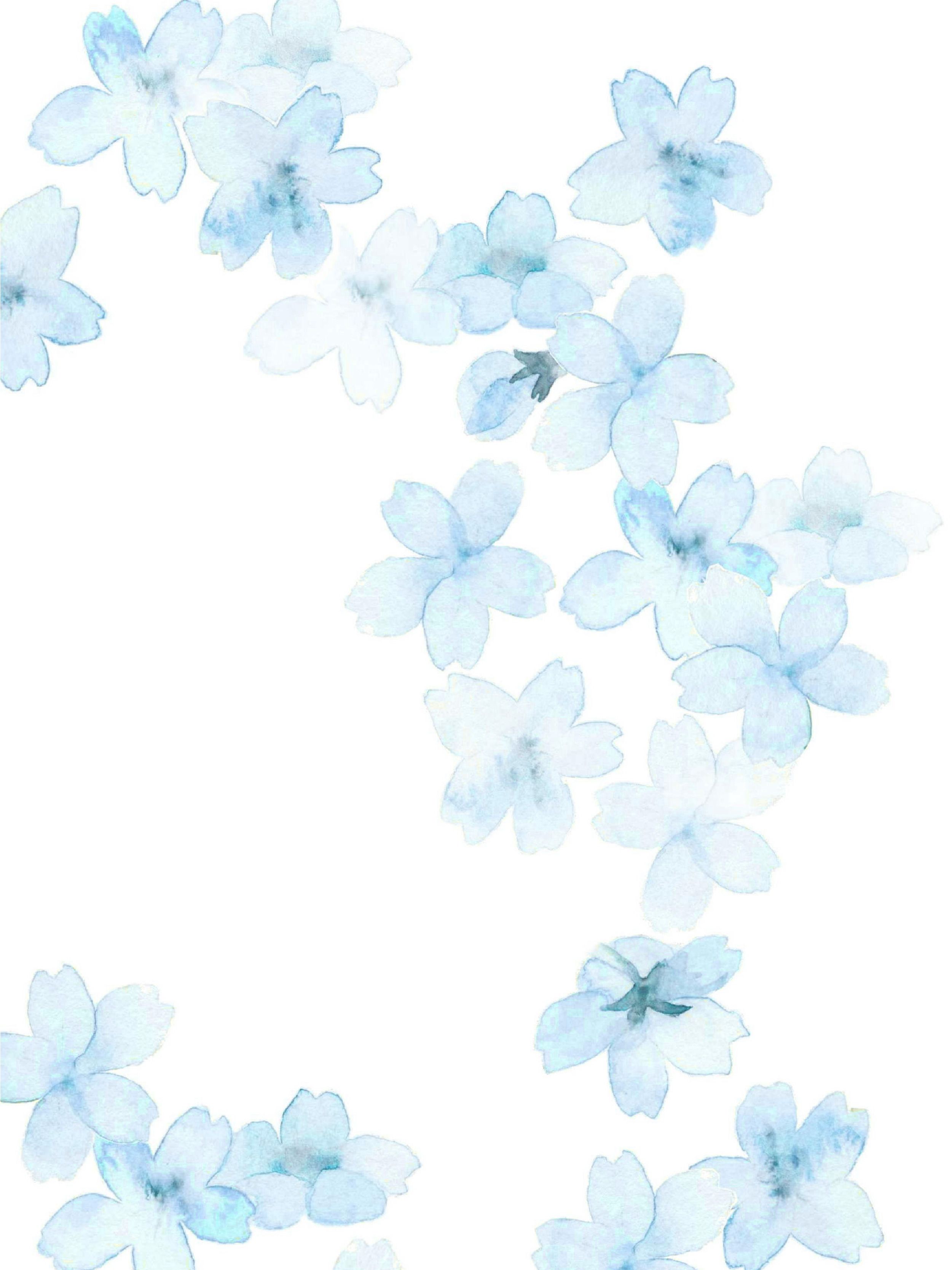 Cat Bunga Kkawler Kawler Warna Blue Biru Muda Early Morning