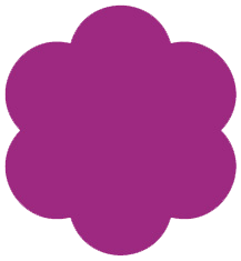 Another Kkawler Kawler Cat Bunga Warna Violet Ungu Tua Orchid Petal