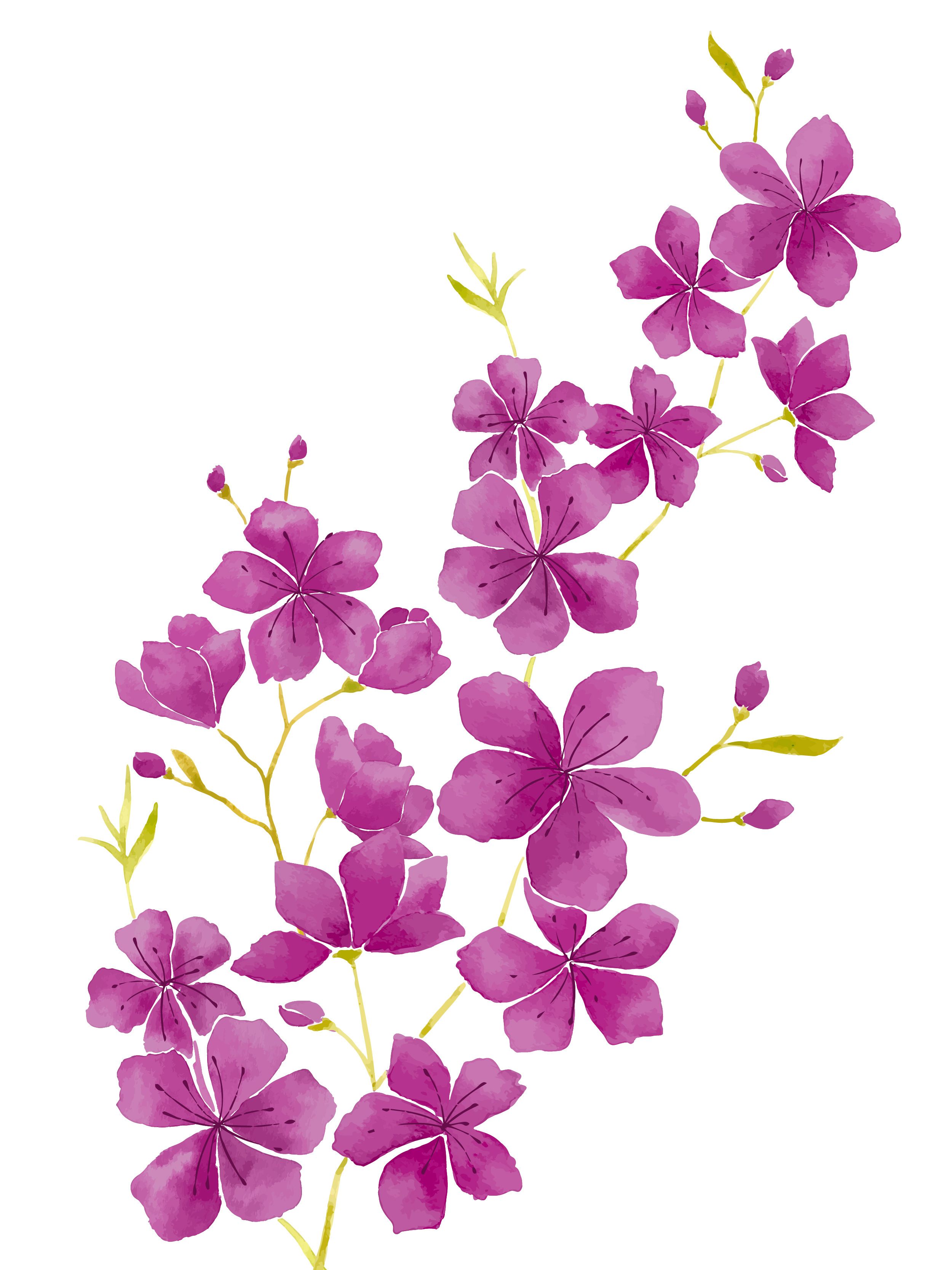 Cat Bunga Kkawler Kawler Warna Violet Ungu Tua Orchid Petal