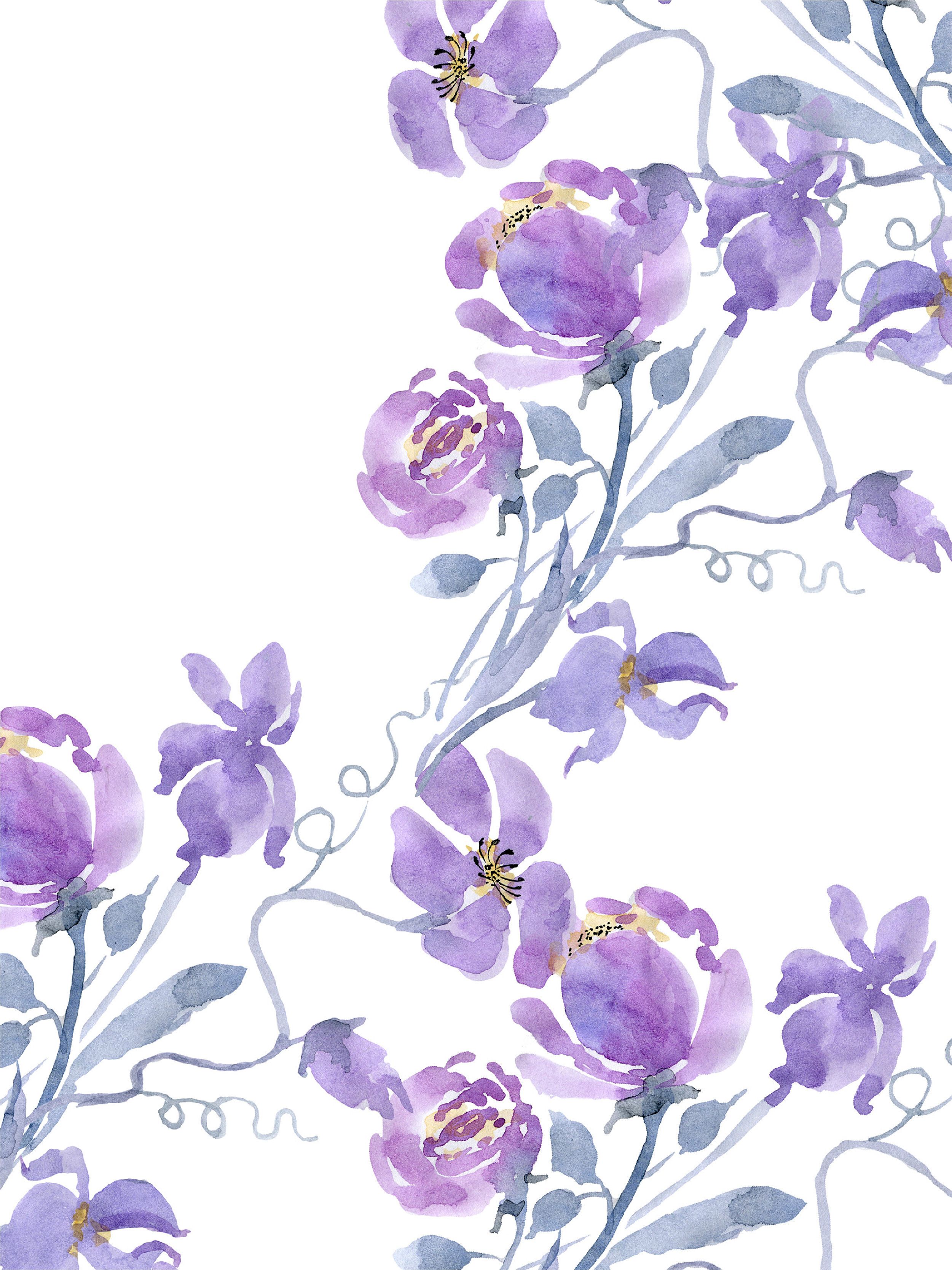 Cat Bunga Kkawler Kawler Warna Voilet Ungu Muda Thistle Charm