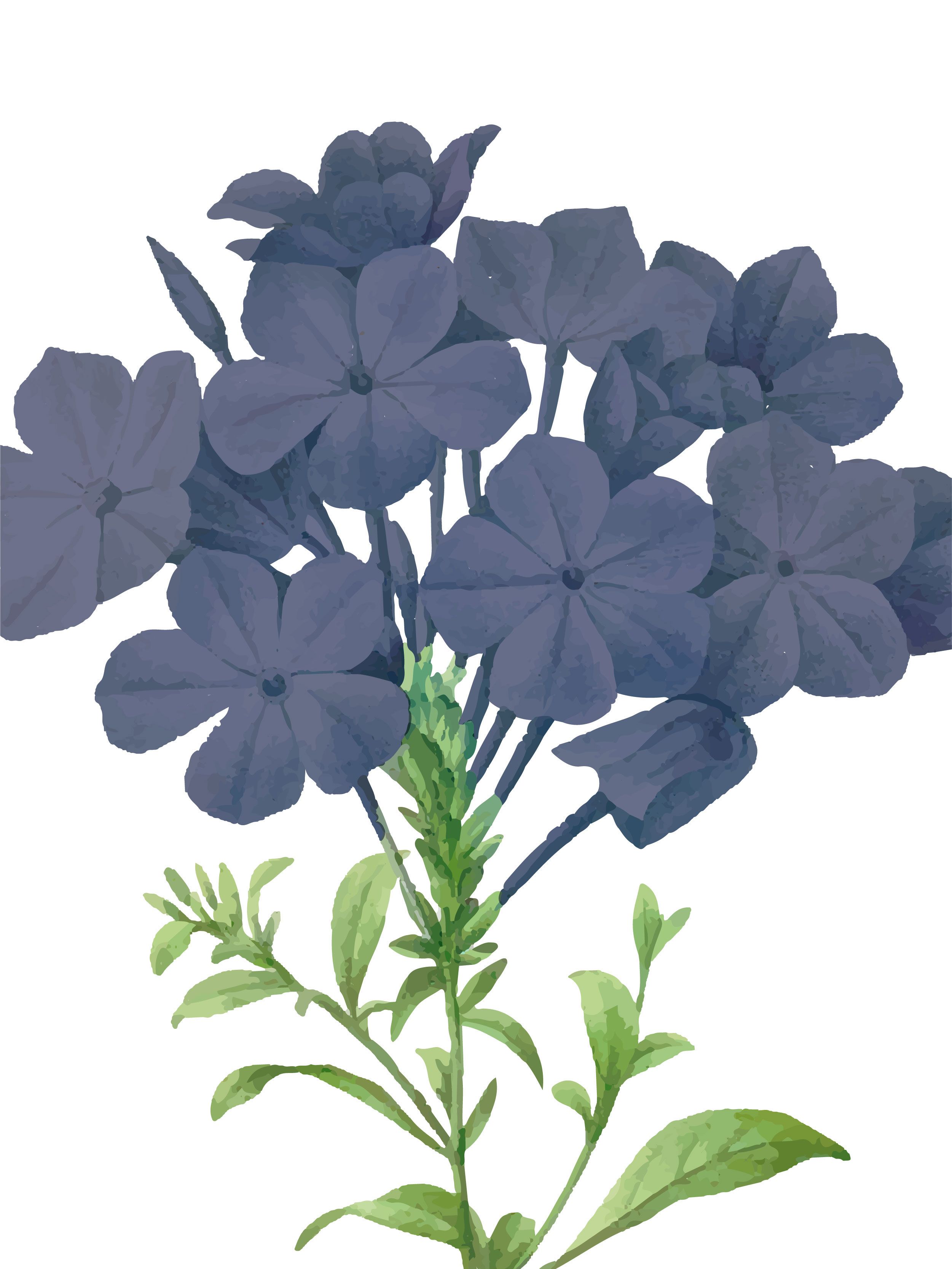 Cat Bunga Kkawler Kawler Warna Blue Biru Tua Dusk Denim