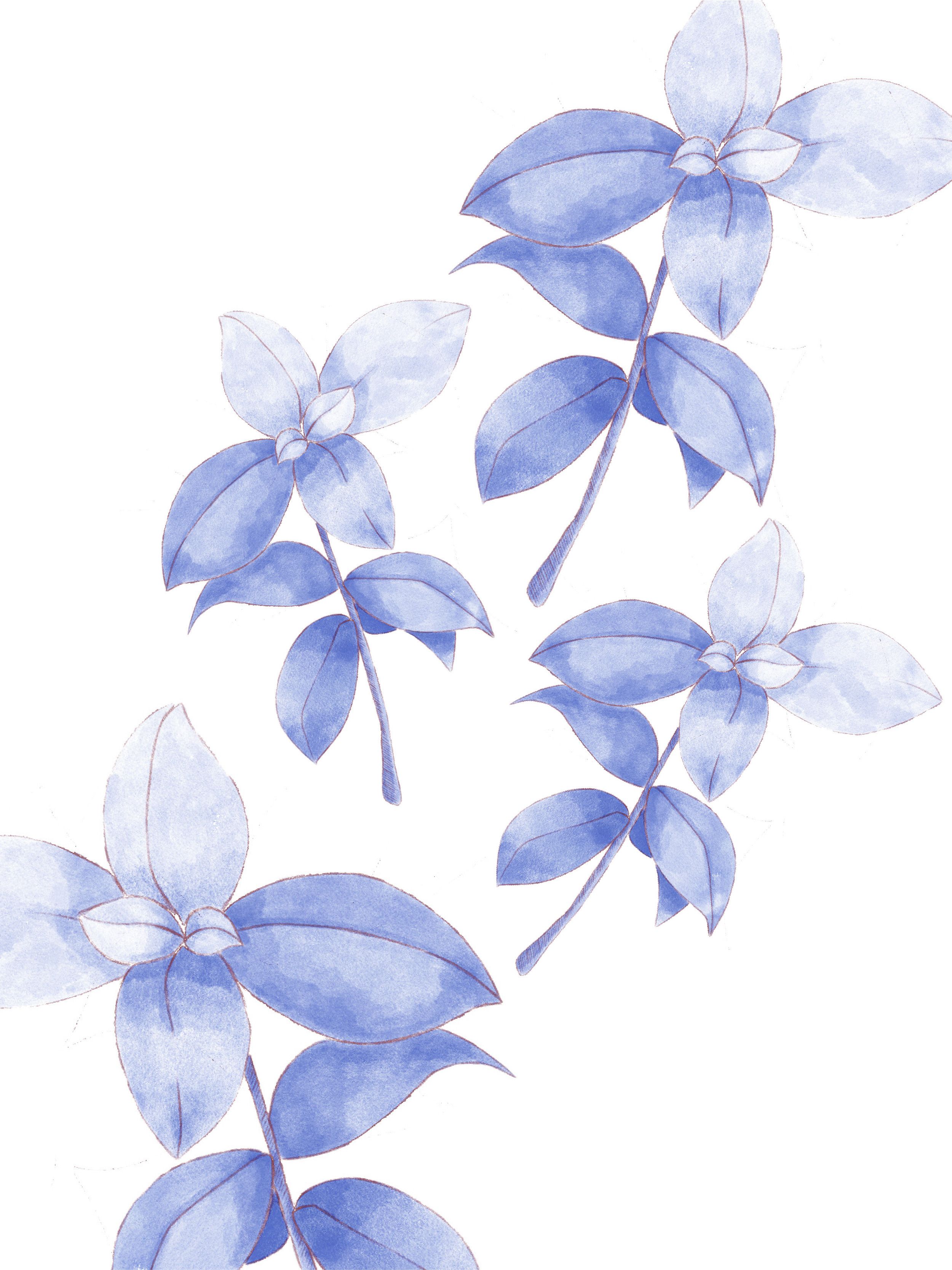 Cat Bunga Kkawler Kawler Warna Violet Ungu Muda French Lilac