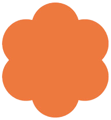 Another Kkawler Kawler Cat Bunga Warna Orange Jingga Tua Happy Poppy