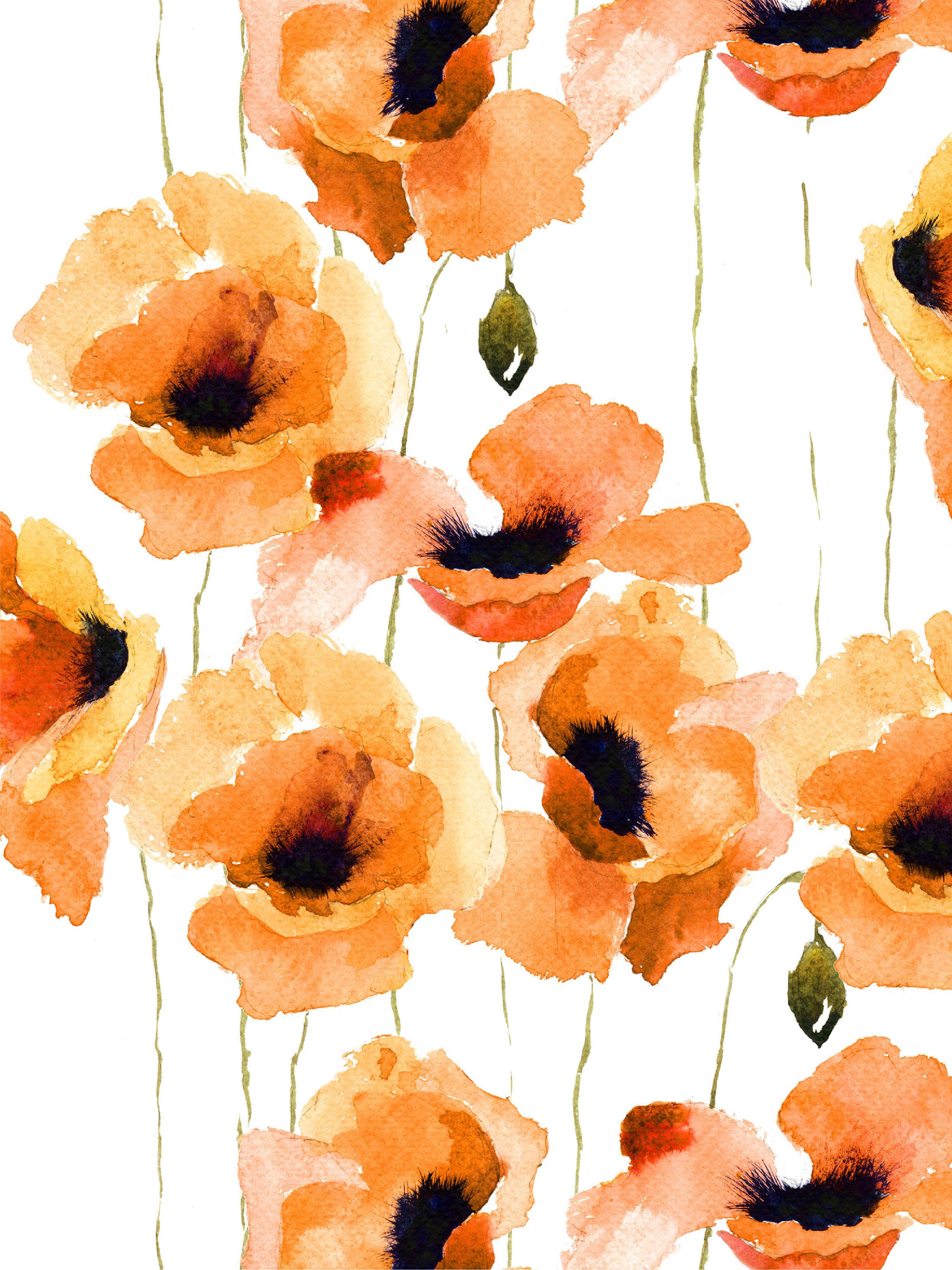 Cat Bunga Kkawler Kawler Warna Orange Jingga Tua Happy Poppy